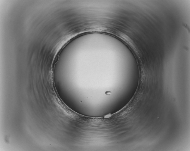 X0000100881332200807071117