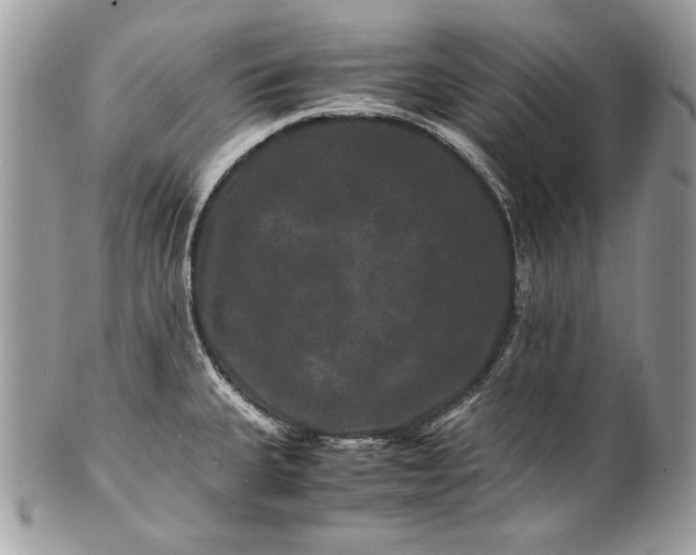 X0000100881335200807071117