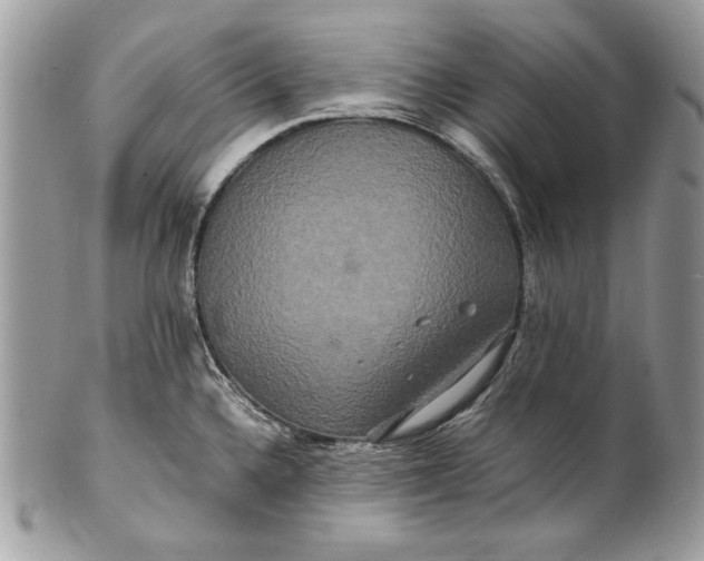 X0000100881336200807071117