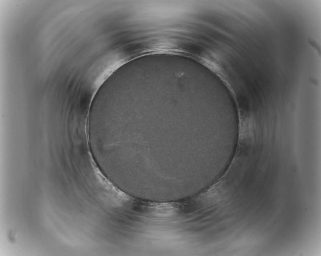 X0000100881338200807071117