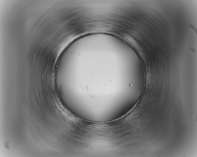 X0000100881340200807071117