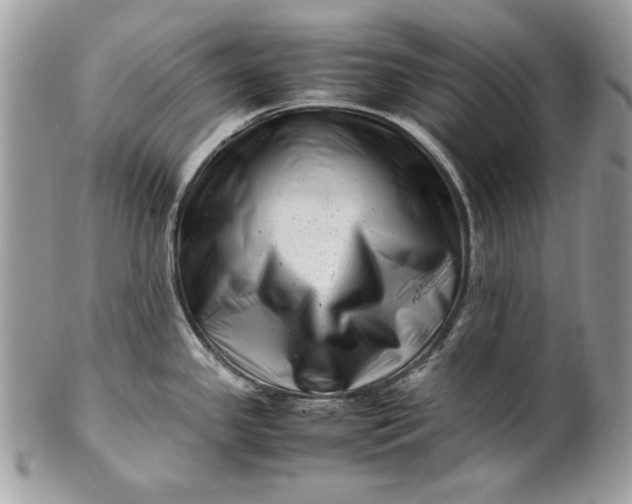 X0000100881341200807071117