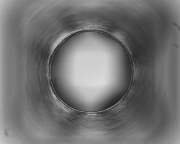 X0000100881342200807071117