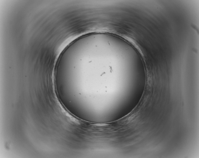 X0000100881343200807071117