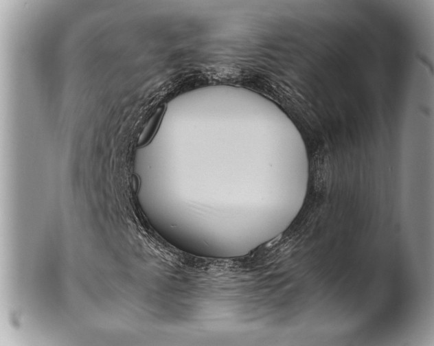 X0000100881345200807071116