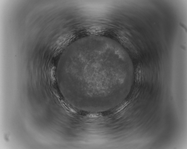 X0000100881346200807071116