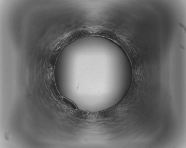 X0000100881349200807071116