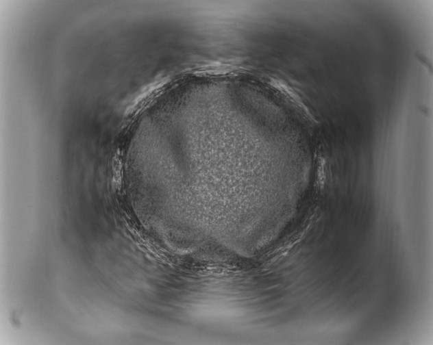 X0000100881350200807071116