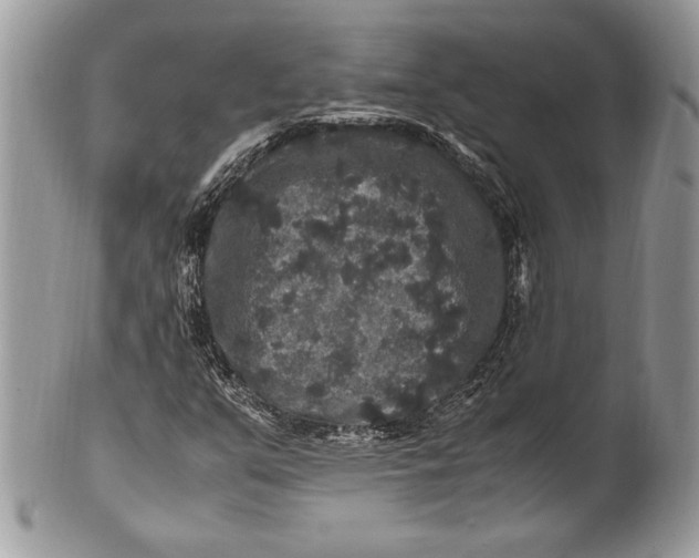 X0000100881351200807071116