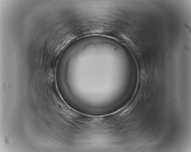 X0000100881353200807071116