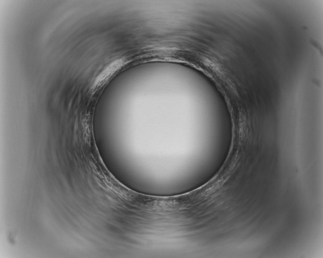 X0000100881354200807071116