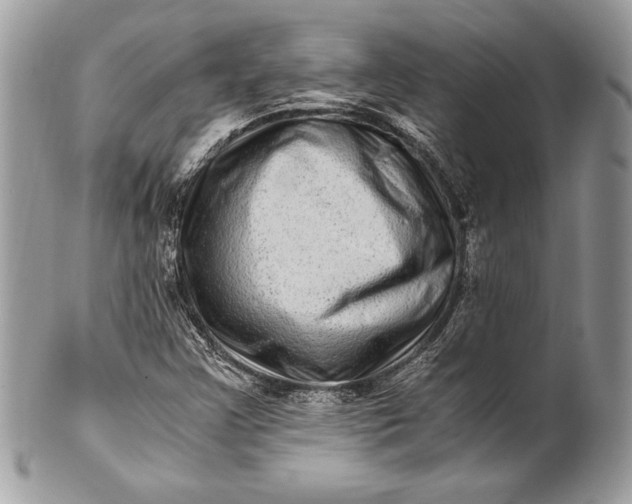 X0000100881355200807071116