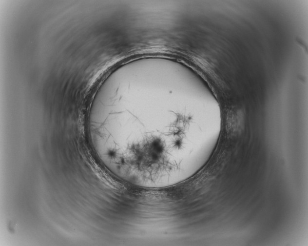 X0000100881356200807071116