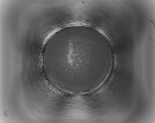 X0000100881358200807071116