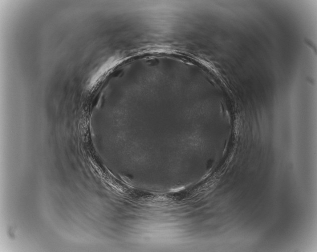 X0000100881359200807071116