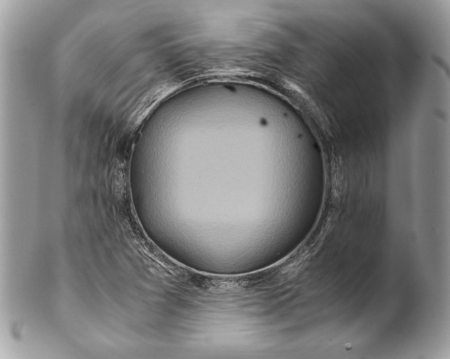 X0000100881361200807071116