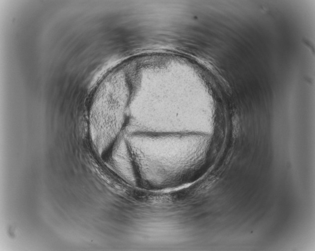 X0000100881363200807071116