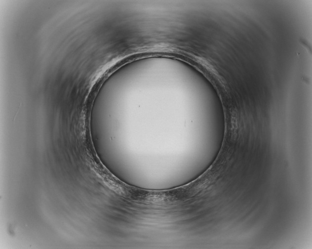 X0000100881364200807071116