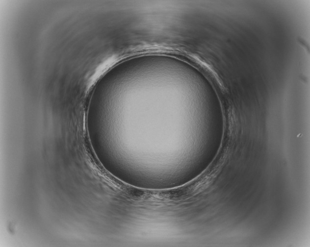 X0000100881365200807071116