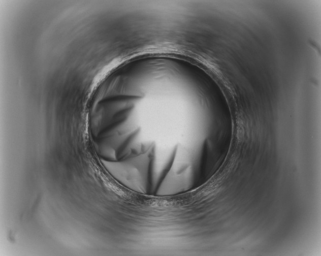 X0000100881366200807071116