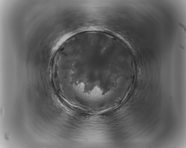 X0000100881367200807071116