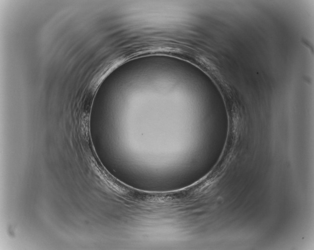 X0000100881369200807071116