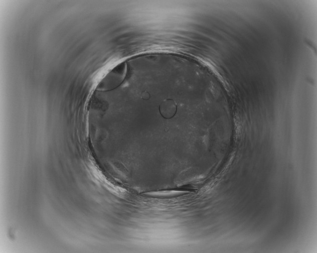 X0000100881371200807071116