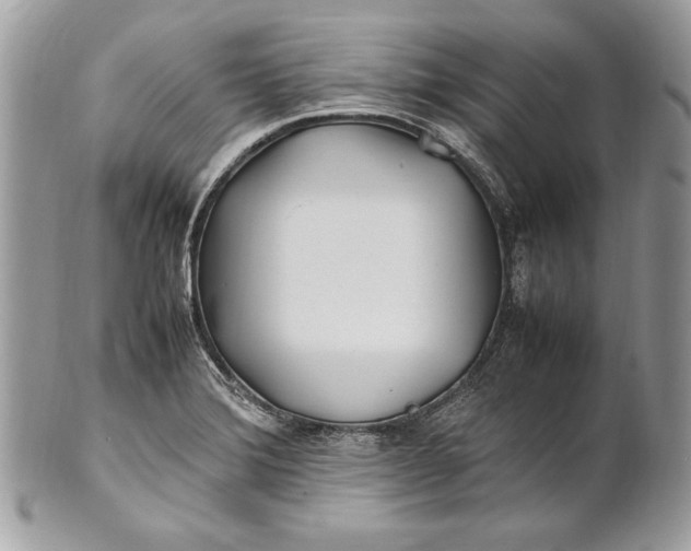 X0000100881372200807071116