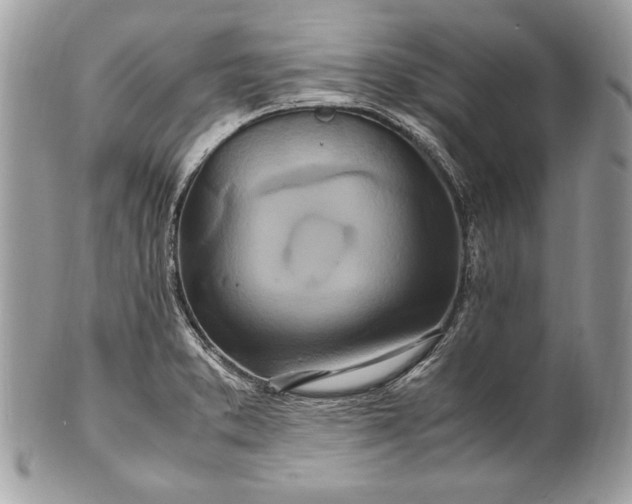 X0000100881373200807071116