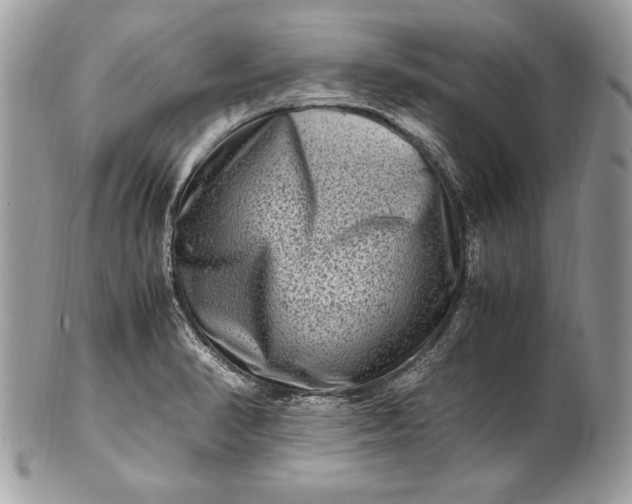 X0000100881374200807071116