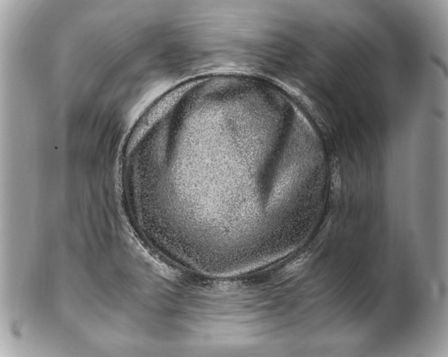 X0000100881375200807071116