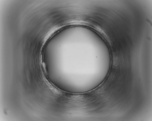 X0000100881376200807071116