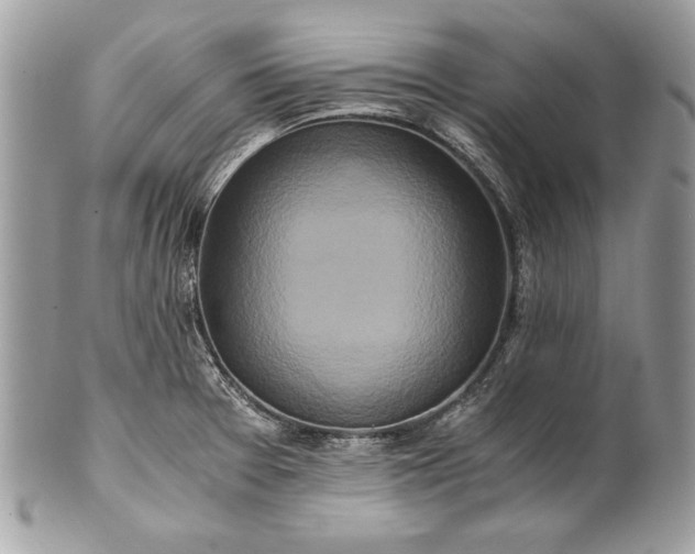 X0000100881377200807071116