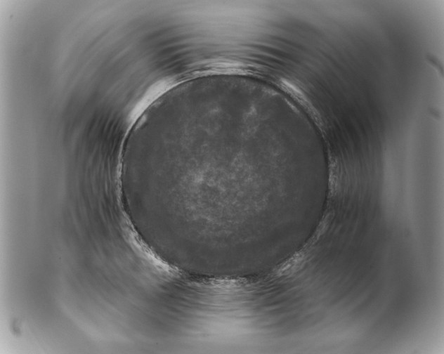 X0000100881378200807071116