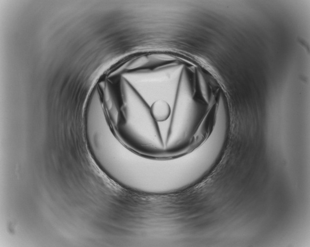 X0000100881380200807071116