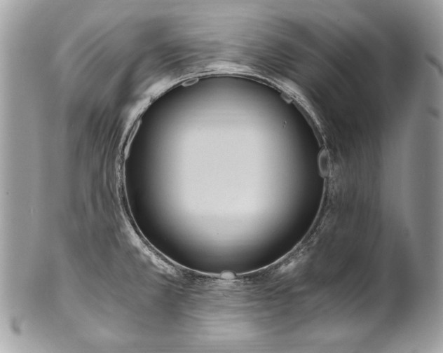 X0000100881381200807071116