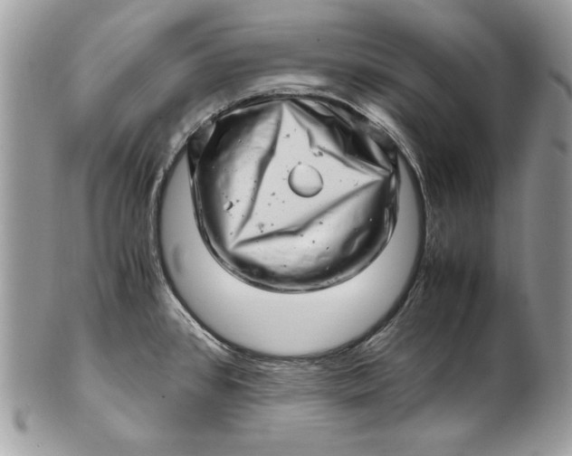 X0000100881384200807071116