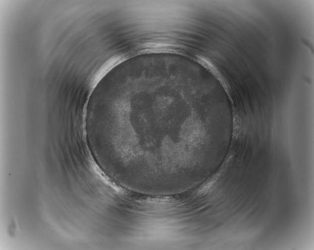 X0000100881386200807071116