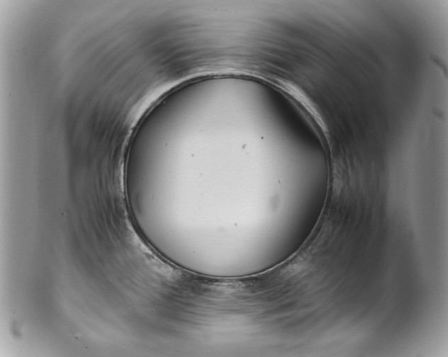 X0000100881388200807071116