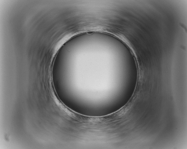 X0000100881389200807071116