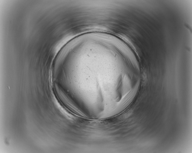 X0000100881391200807071116