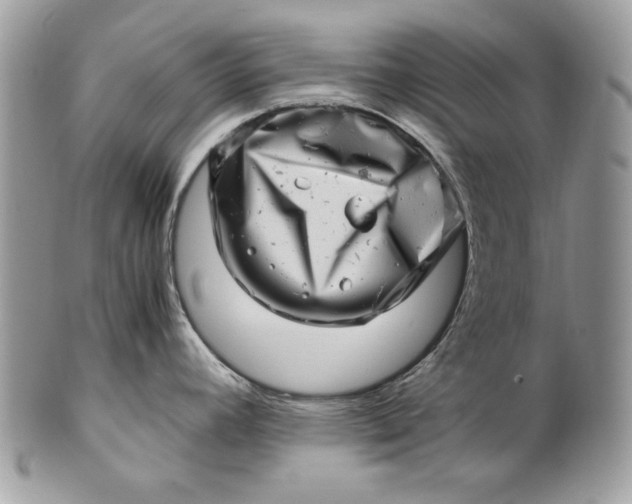 X0000100881392200807071116