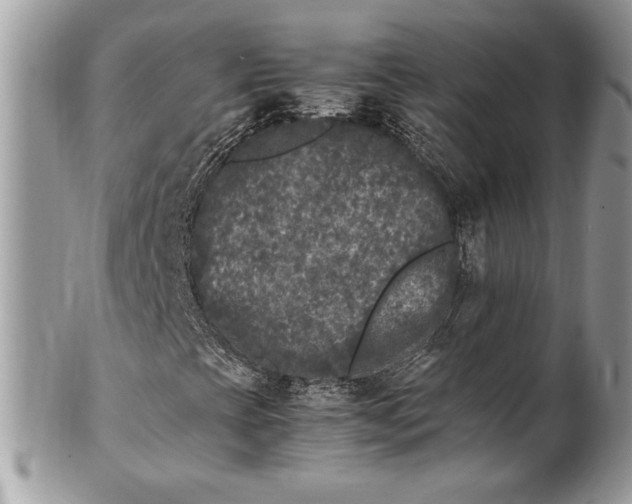 X0000100881393200807071115