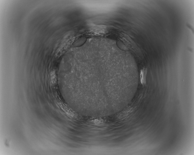 X0000100881395200807071115