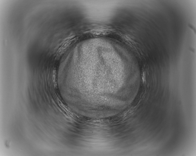 X0000100881396200807071115