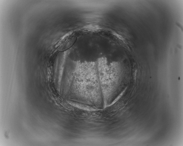 X0000100881397200807071115