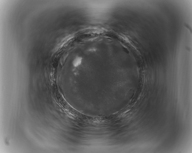 X0000100881399200807071115