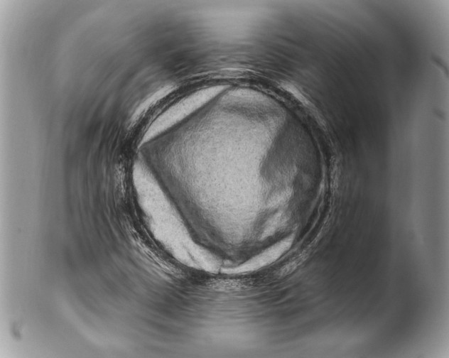 X0000100881402200807071115