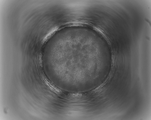 X0000100881403200807071115