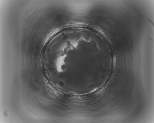 X0000100881405200807071115